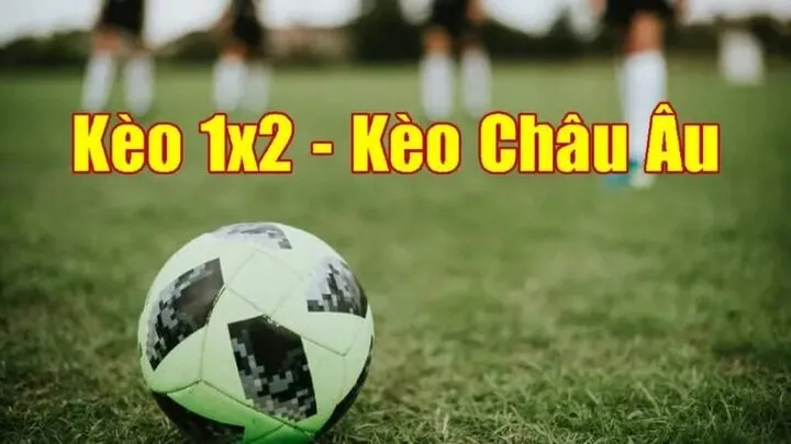 Hướng dẫn chơi Kèo châu Âu tại nhà cái 